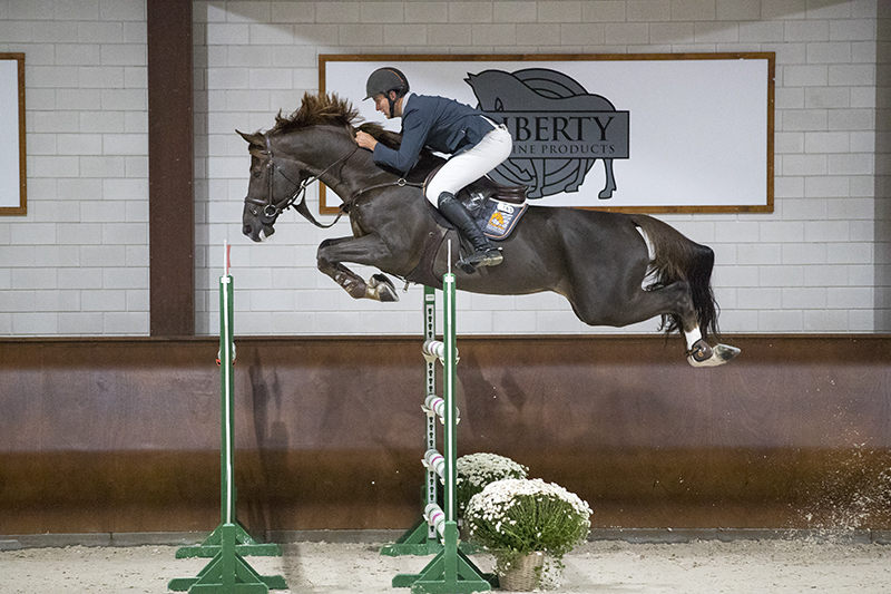 Patrick Lemmen - Sisko du ChaiPatrick Lemmen - Sisko du Chai CSI De Peelbergen 2016 © DigiShots